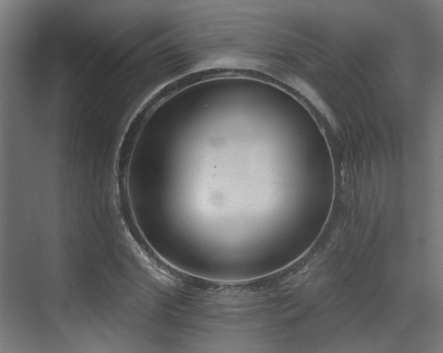 X0000075340972200609081119