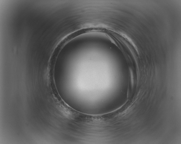 X0000075340975200609081119