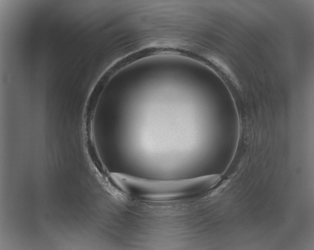 X0000075340976200609081119