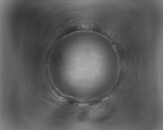 X0000075341009200609081118