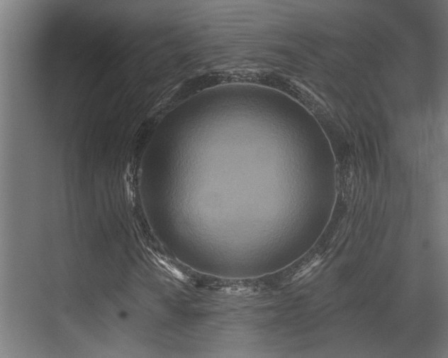 X0000075341010200609081118
