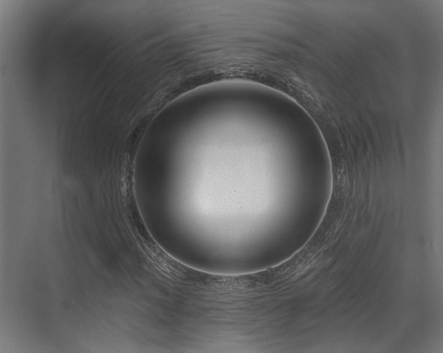 X0000075341012200609081118