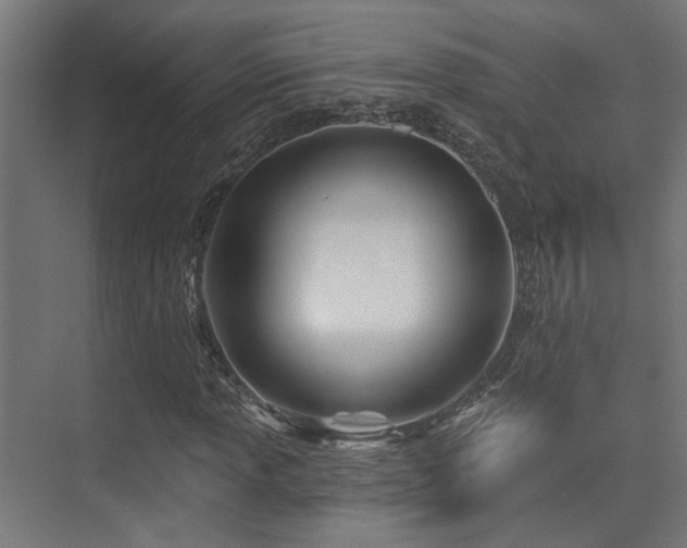 X0000075341013200609081118