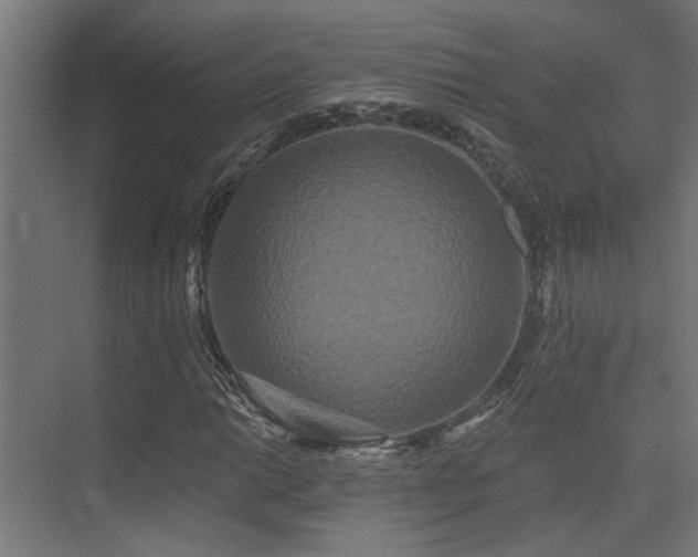 X0000075341014200609081118