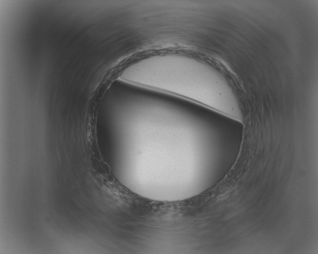 X0000075341016200609081118