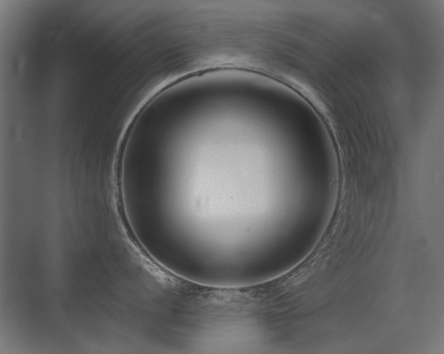 X0000075341056200609081118