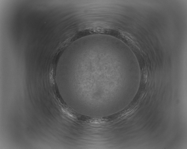 X0000075341060200609081118