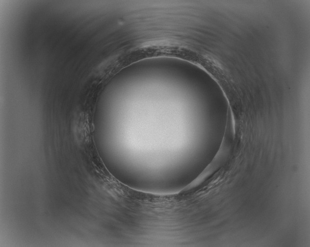 X0000075341062200609081118