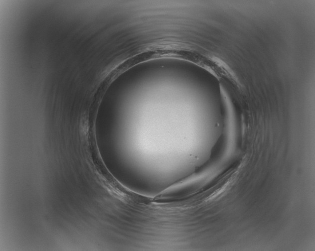 X0000075341065200609081118