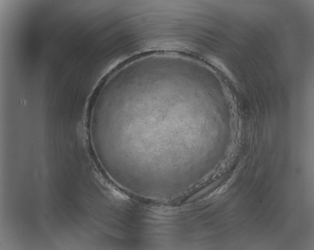 X0000075341071200609081117