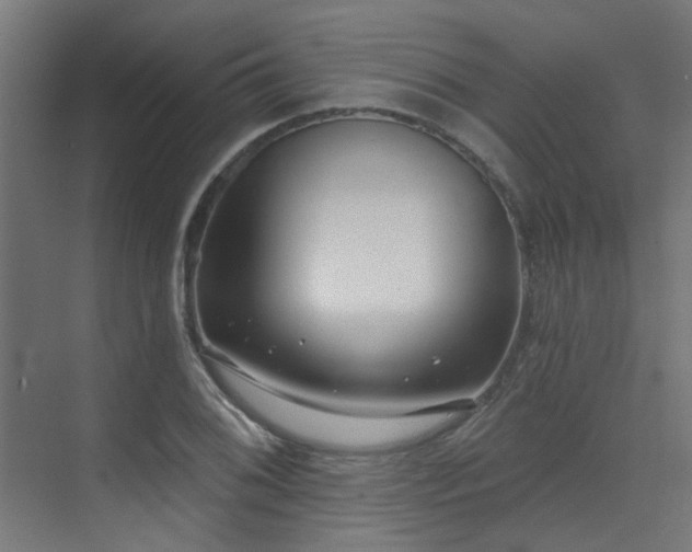 X0000075341076200609081117