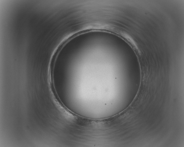 X0000075341080200609081117