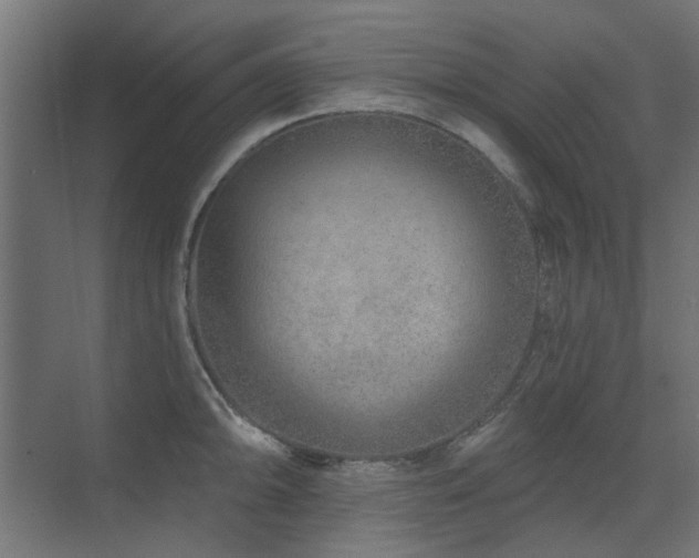 X0000075341094200609081117