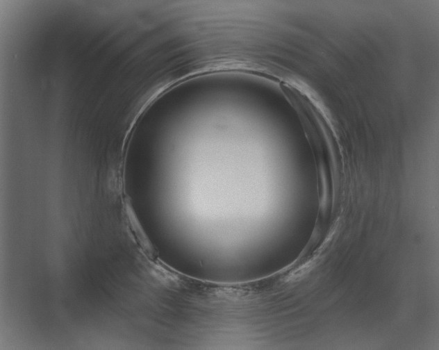 X0000075341097200609081117