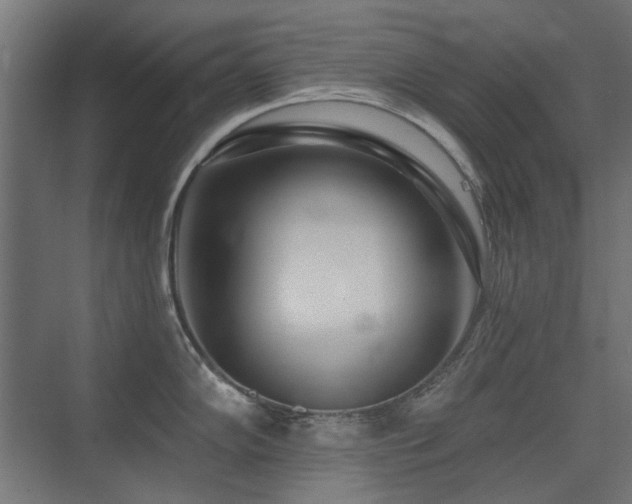X0000075341102200609081117
