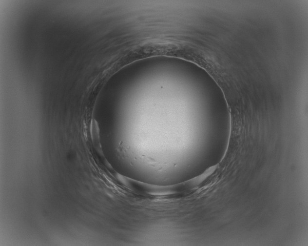 X0000075341109200609081116