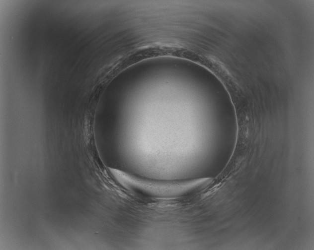 X0000075341110200609081116