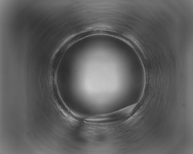 X0000075341115200609081116