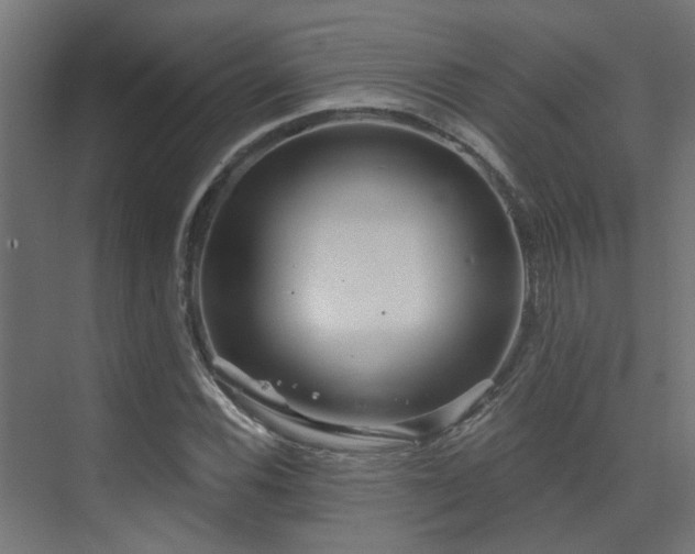 X0000075341116200609081116