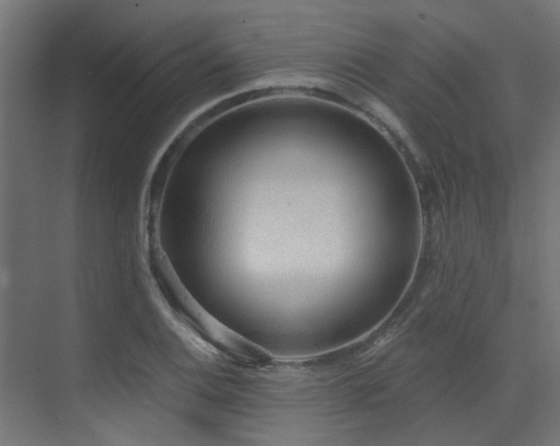 X0000075341124200609081116