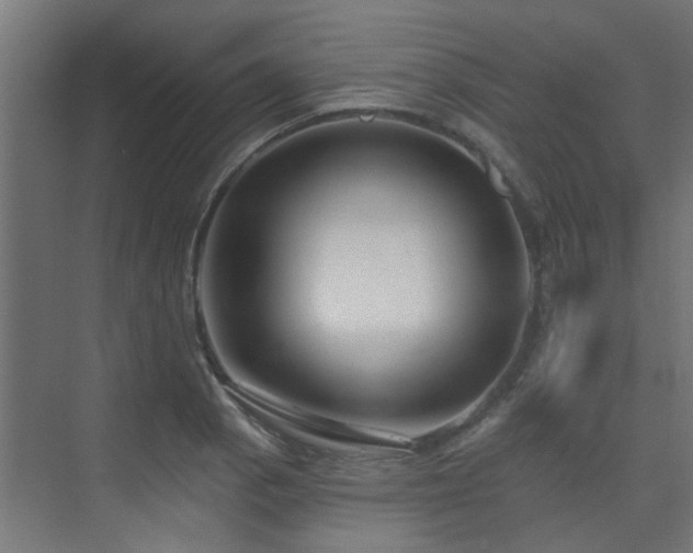 X0000075341129200609081116