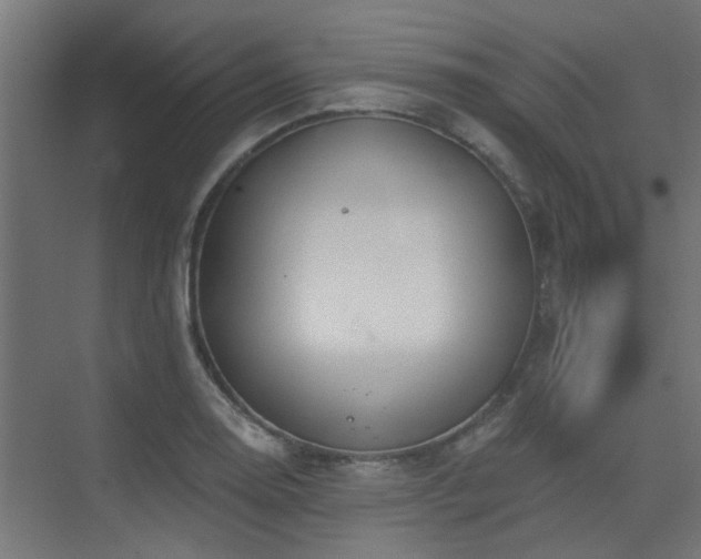X0000075341130200609081116