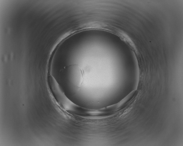 X0000075341146200609081117
