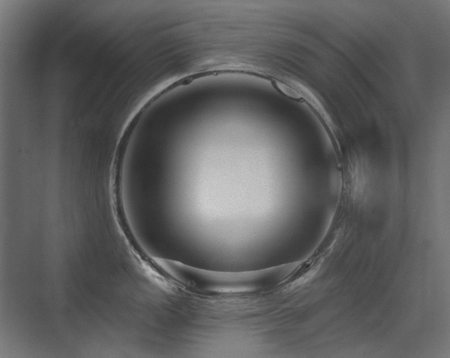 X0000075341149200609081117