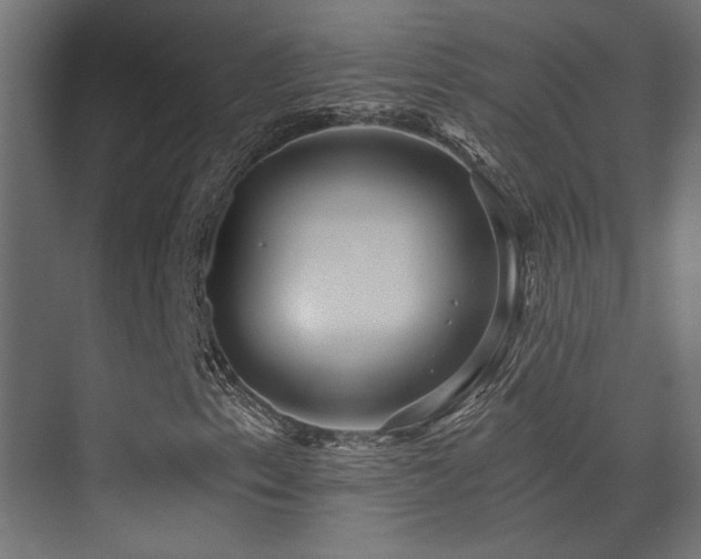 X0000075341153200609081116