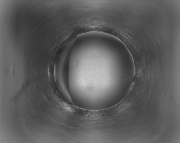 X0000075341156200609081116