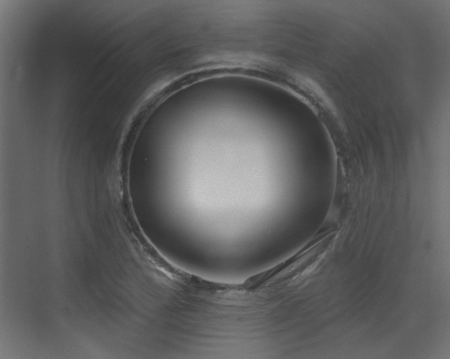 X0000075341172200609081116