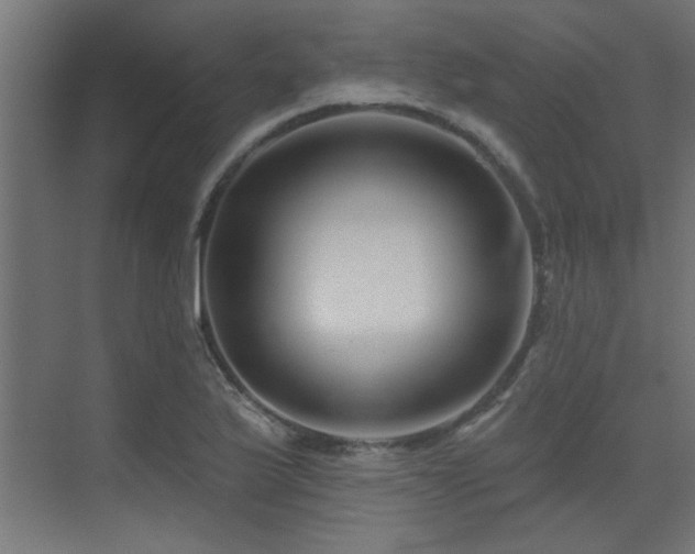 X0000075341175200609081116