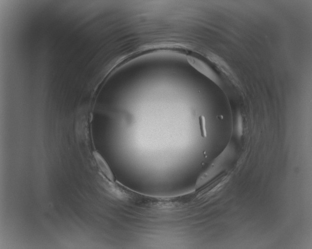 X0000075341177200609081116