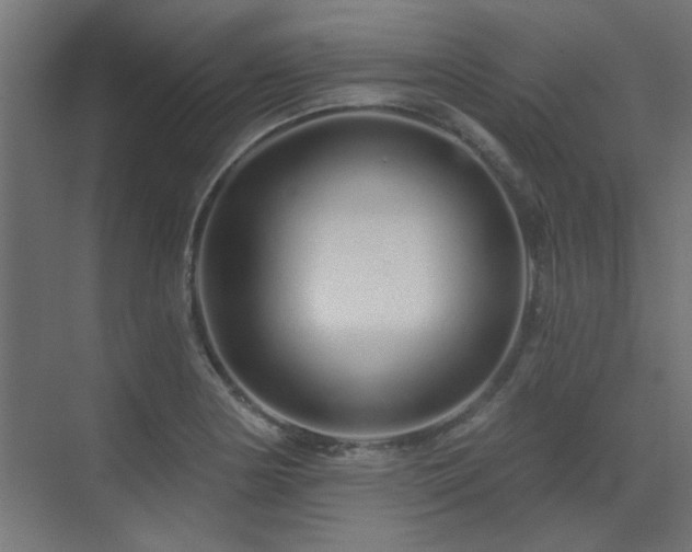 X0000075341178200609081116