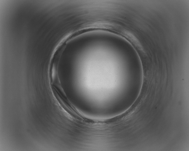 X0000075341180200609081116