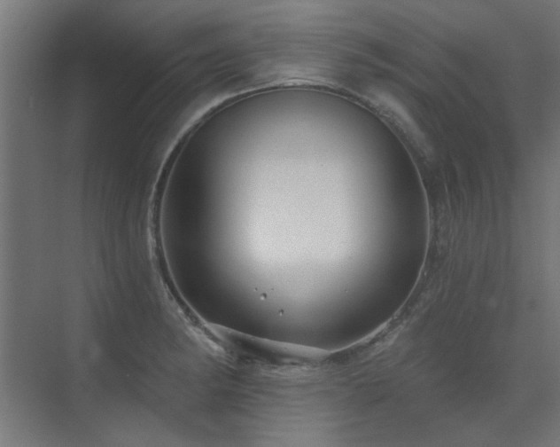 X0000075341182200609081116