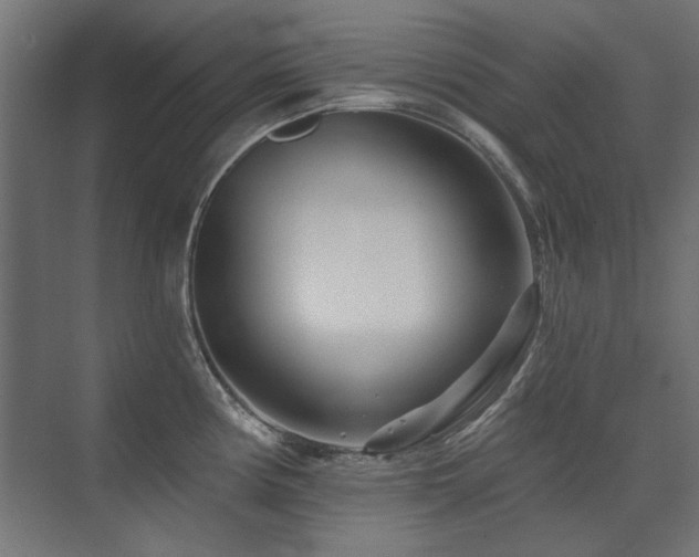 X0000075341194200609081115