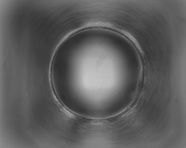 X0000075341199200609081115