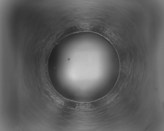 X0000075341201200609081114
