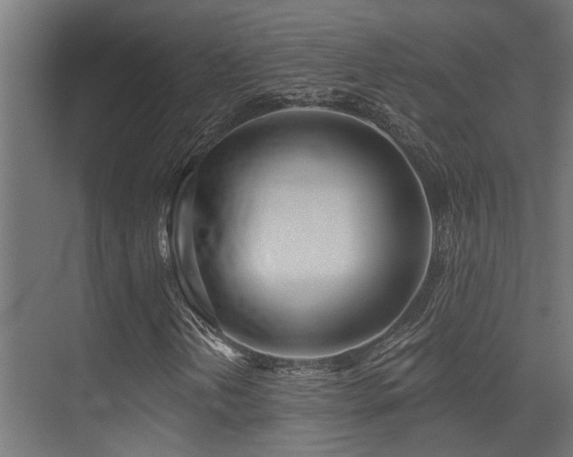X0000075341202200609081114