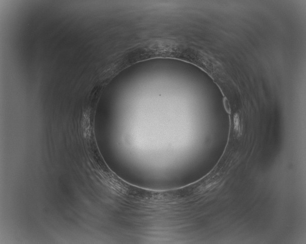 X0000075341203200609081114