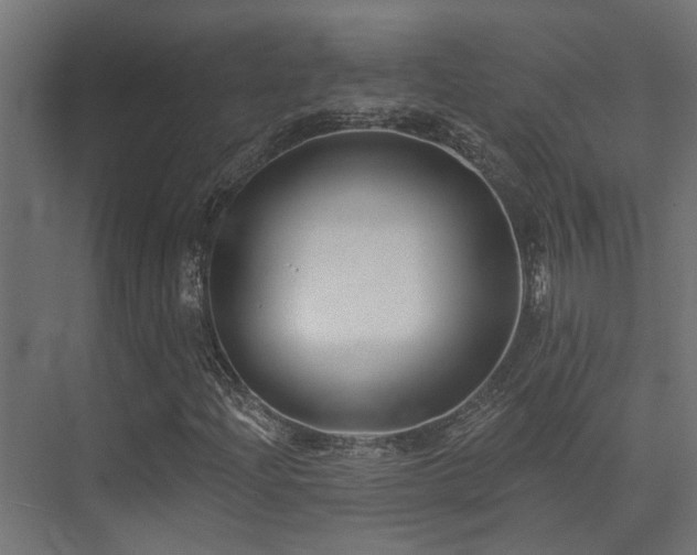 X0000075341204200609081114