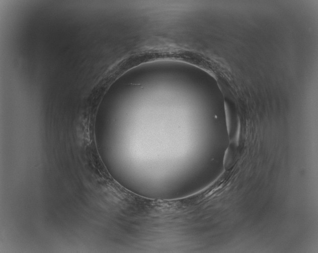 X0000075341205200609081114