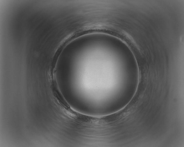 X0000075341218200609081115