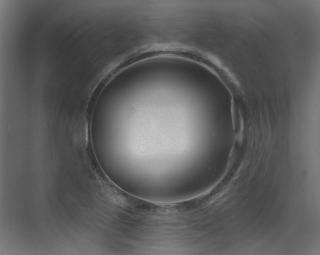 X0000075341221200609081115