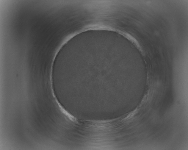 X0000075341231200609081115