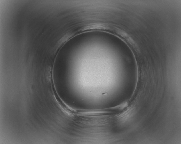 X0000075341233200609081115