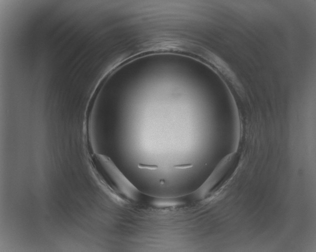X0000075341234200609081115