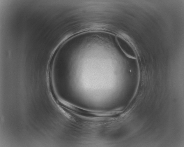 X0000075341235200609081115
