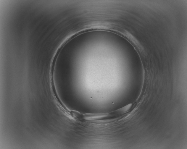 X0000075341240200609081115